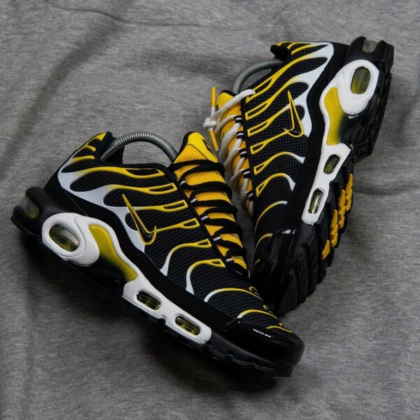 Chaussures de Sport Air Max