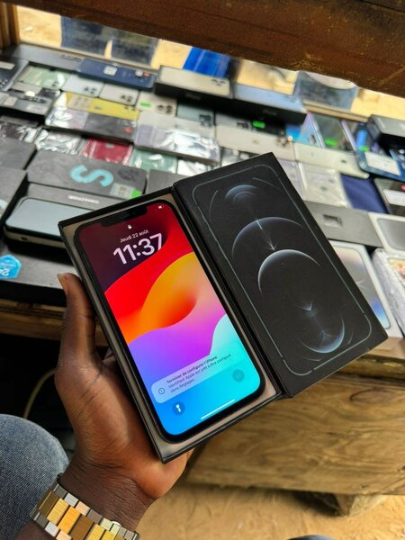 iPhone 12 pro max 128 giga avec carton