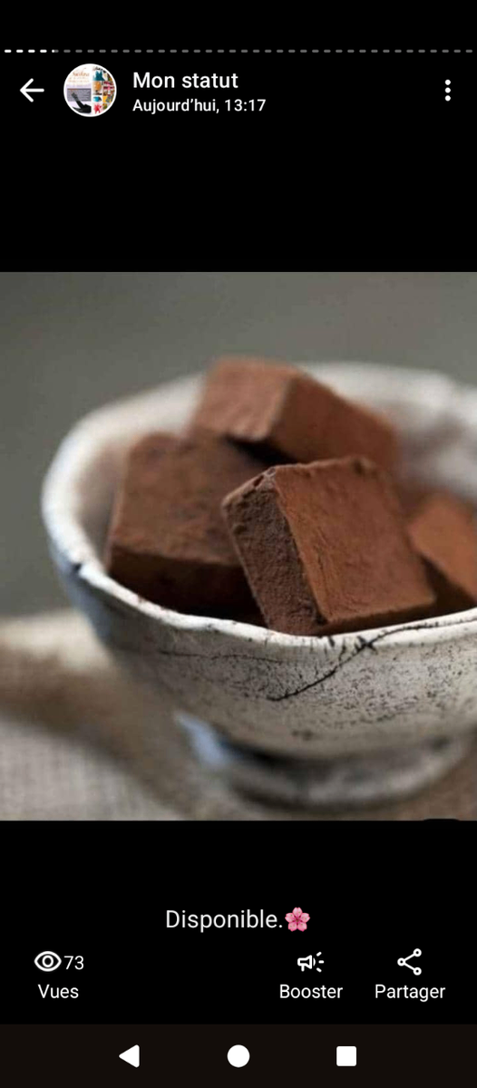 Délicieux Chocolats Truffés