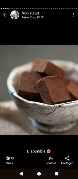 Délicieux Chocolats Truffés