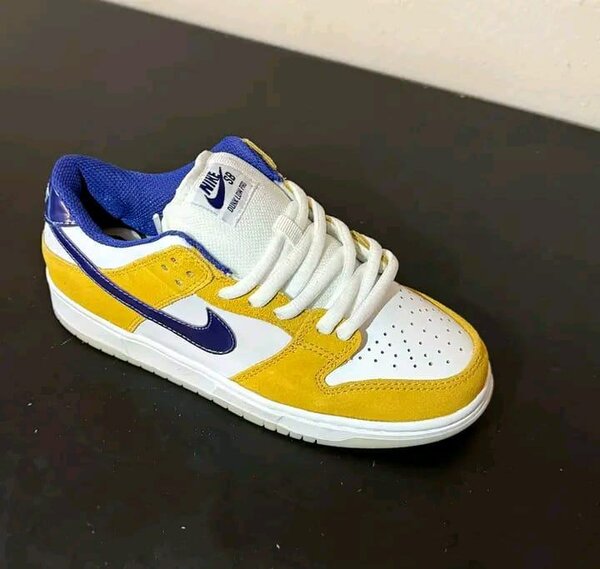 Chaussures Nike SB Colorées