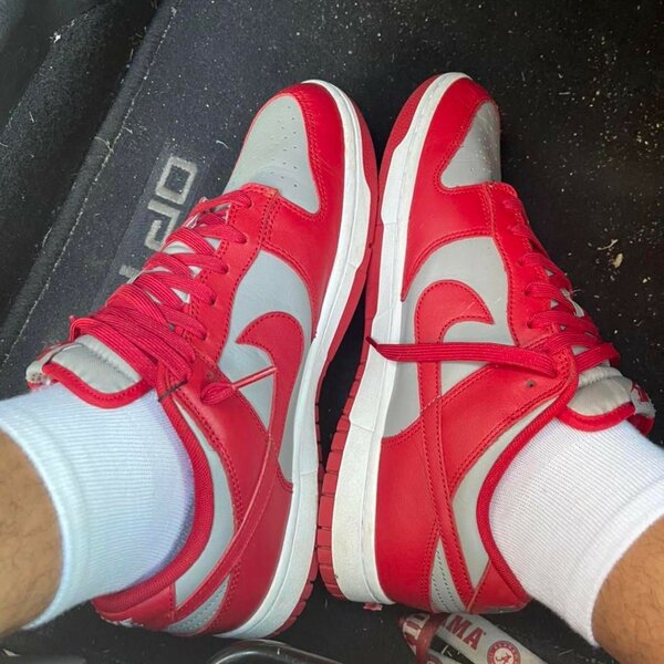 Nike sb dunk