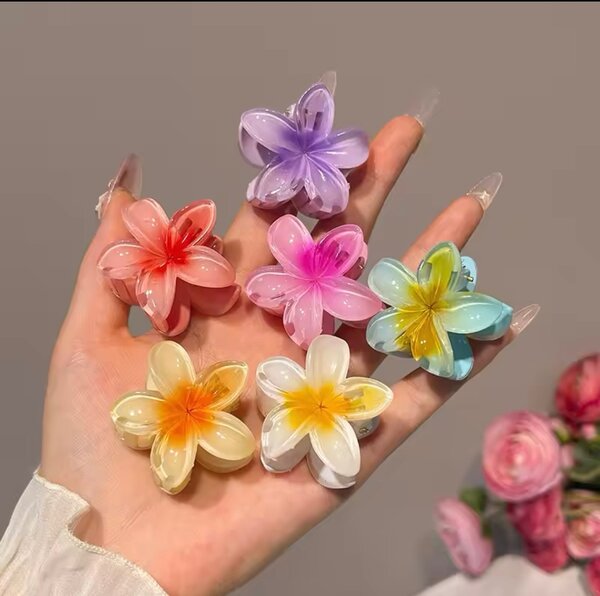 Ensemble de 6 barrettes miniature pour cheveux et sacs