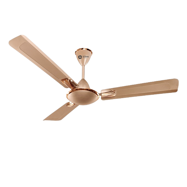 Floor light and fan