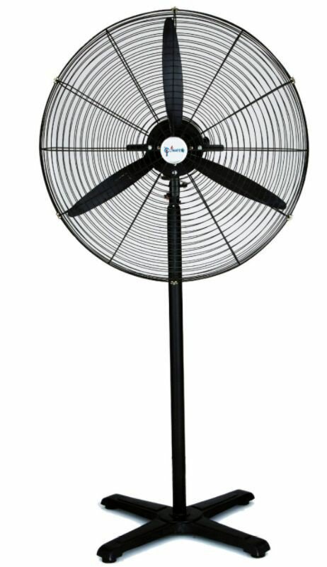Fan's