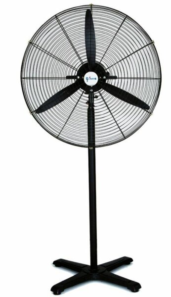 Fan's