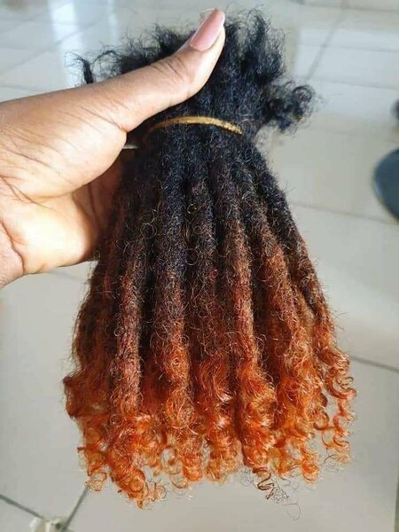 Tige dread locks