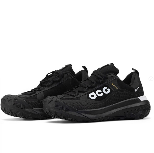 Nike ACG Mountain Fly Gore-Tex