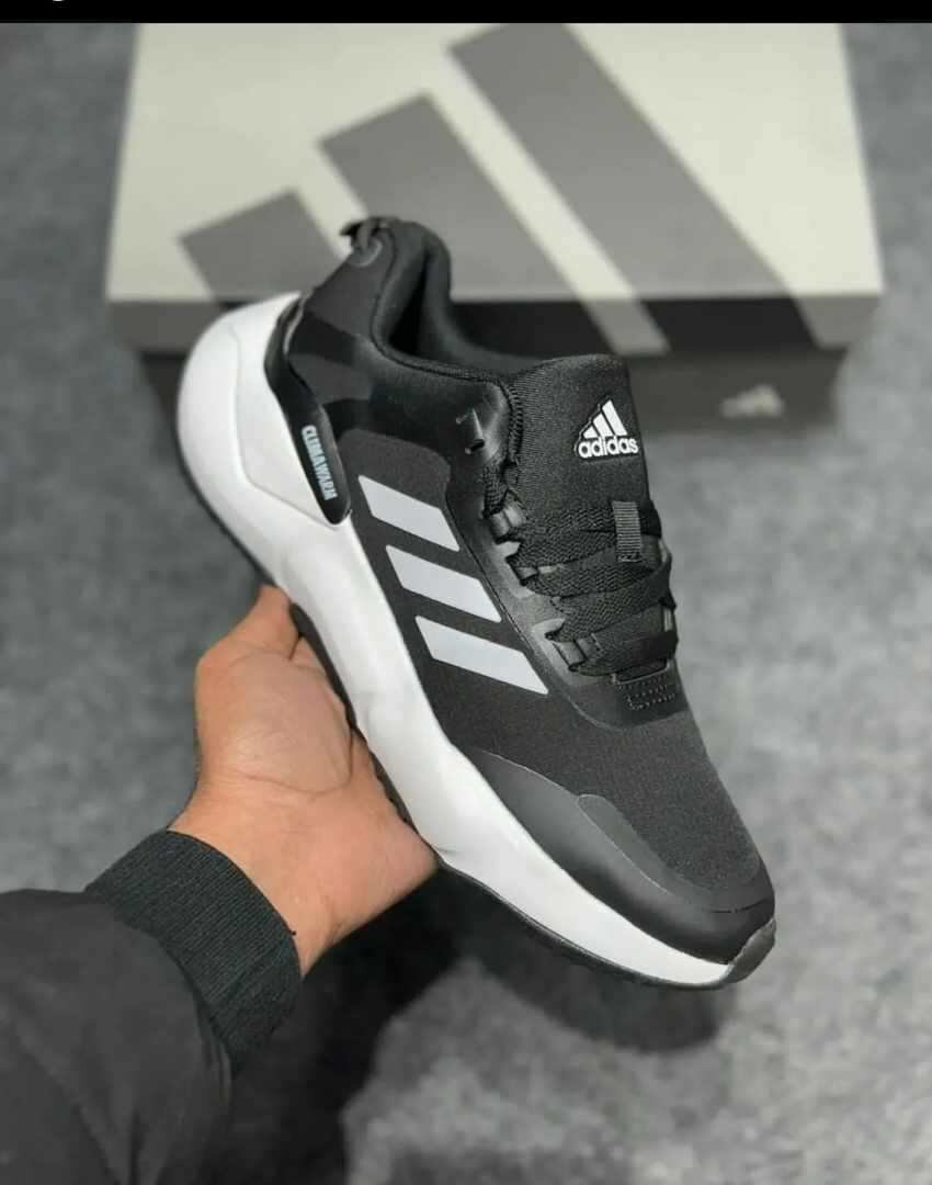 Chaussure