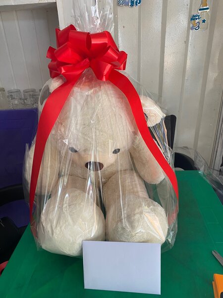 Teddy bear