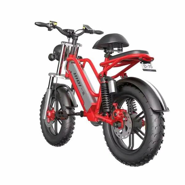 Vélo électrique robuste