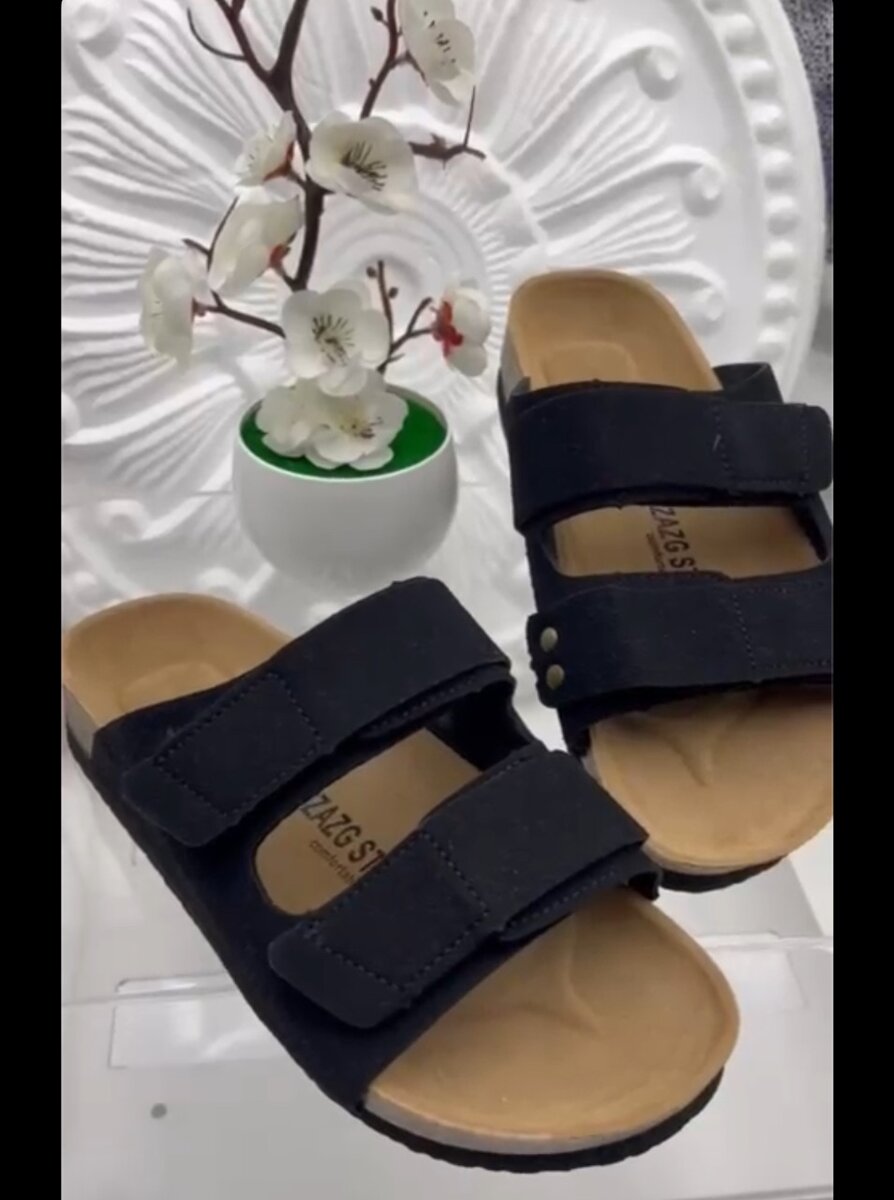 Birken stock