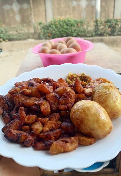 Alloco oeufs
