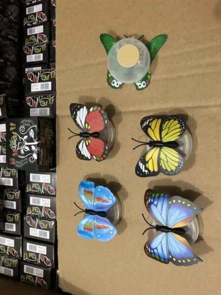 Papillon lumineux