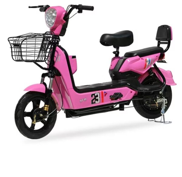 Electric Bikes
