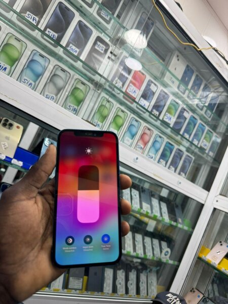 iPhone X