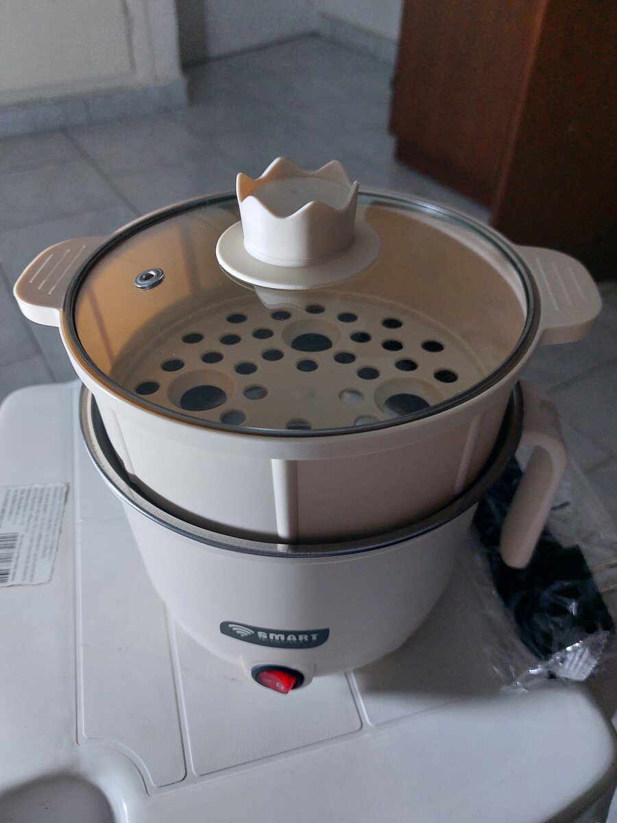 Cuiseur Vapeur Électrique 2L