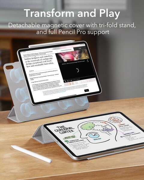 Étui iPad Air 6/5/4 (2024/22/2