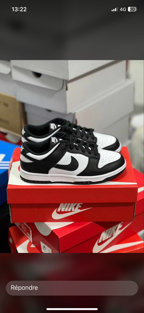 Chaussure Nike SB