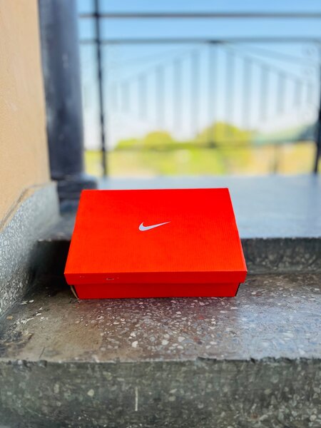 Nike sb dunks