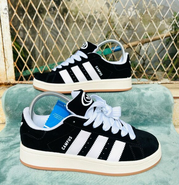 Chaussure campus addidas