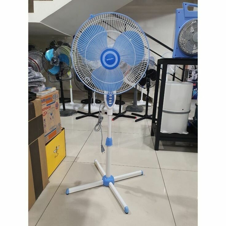 Fans
