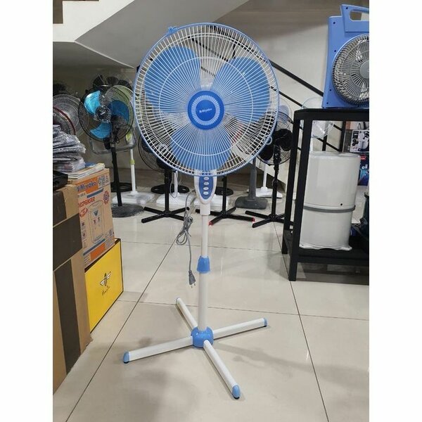 Fans
