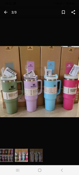 Stanley tumbler cup