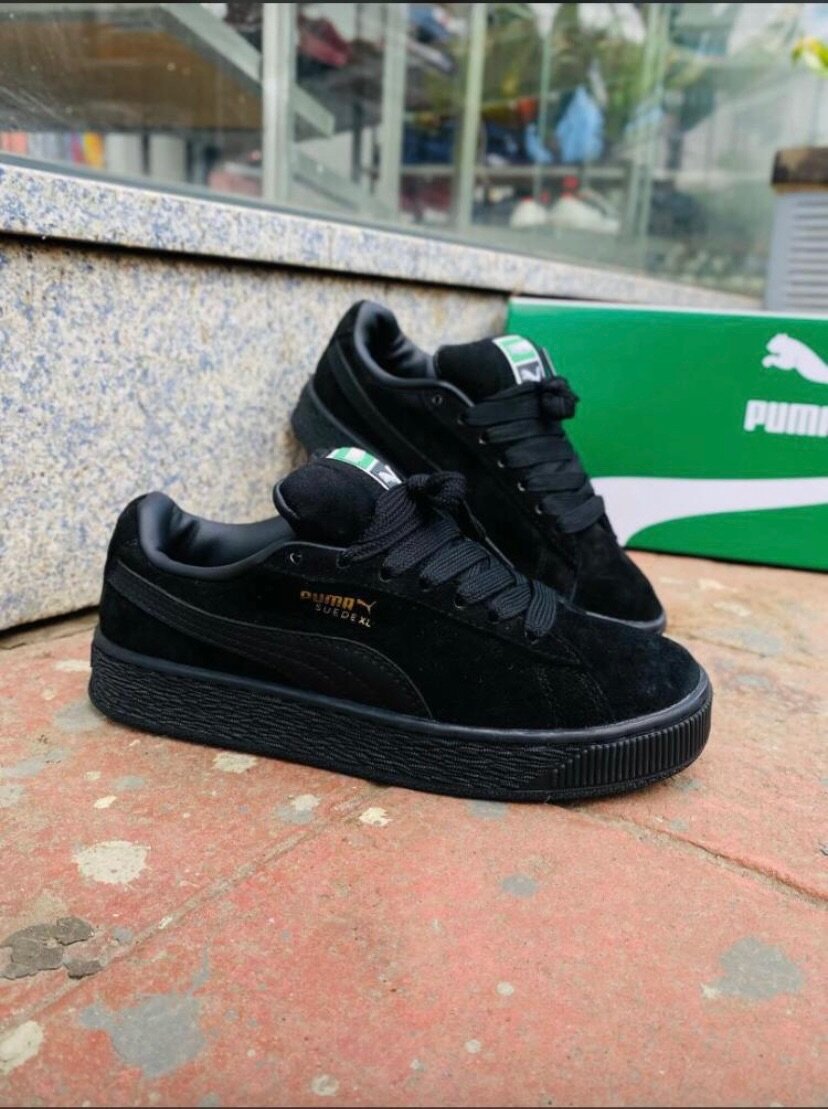 Adidas compuse