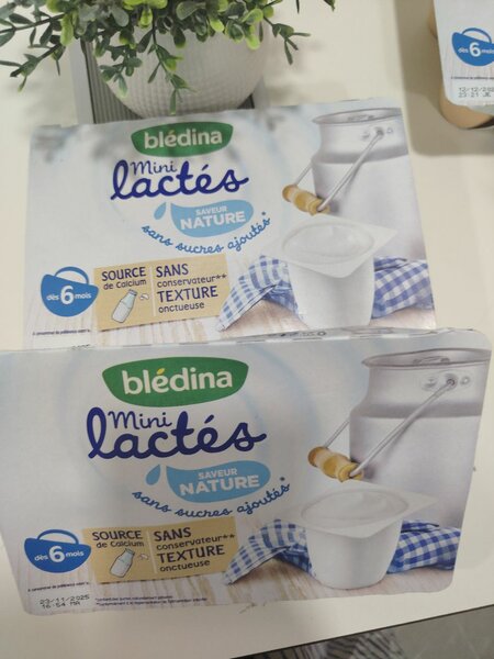 Blédina Mini Lactés Nature