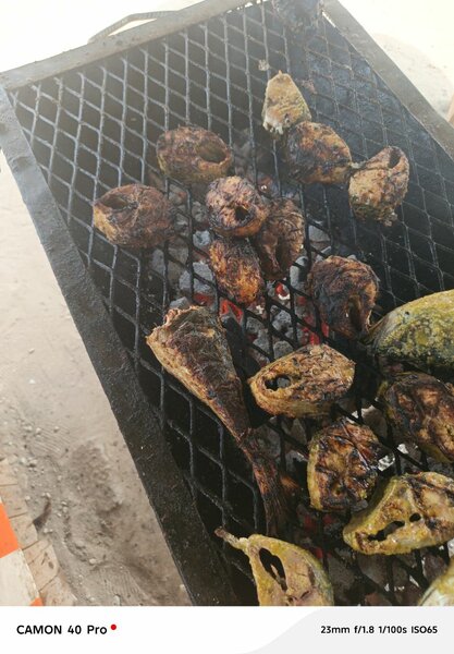 Poisson et poulet