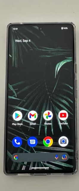 GOOGLE PIXEL 6PRO