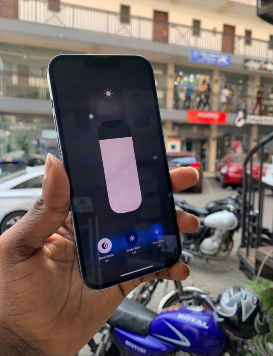 iPhone 13 Pro Max