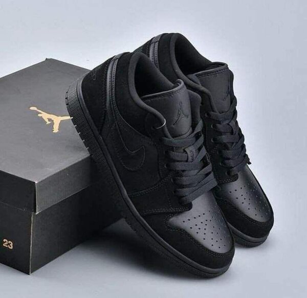 Paire de Nike SB