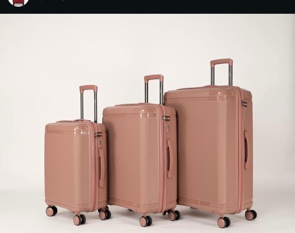 LV Traveling bag .