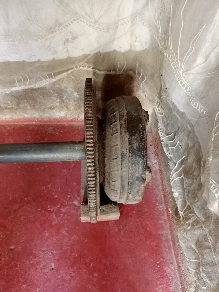 Weight