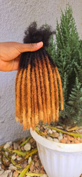 Dreadlocks normal