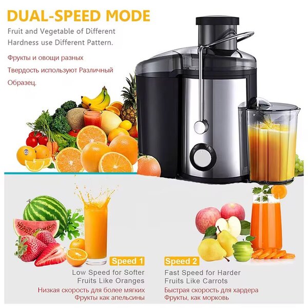 Extracteur de Jus Puissant