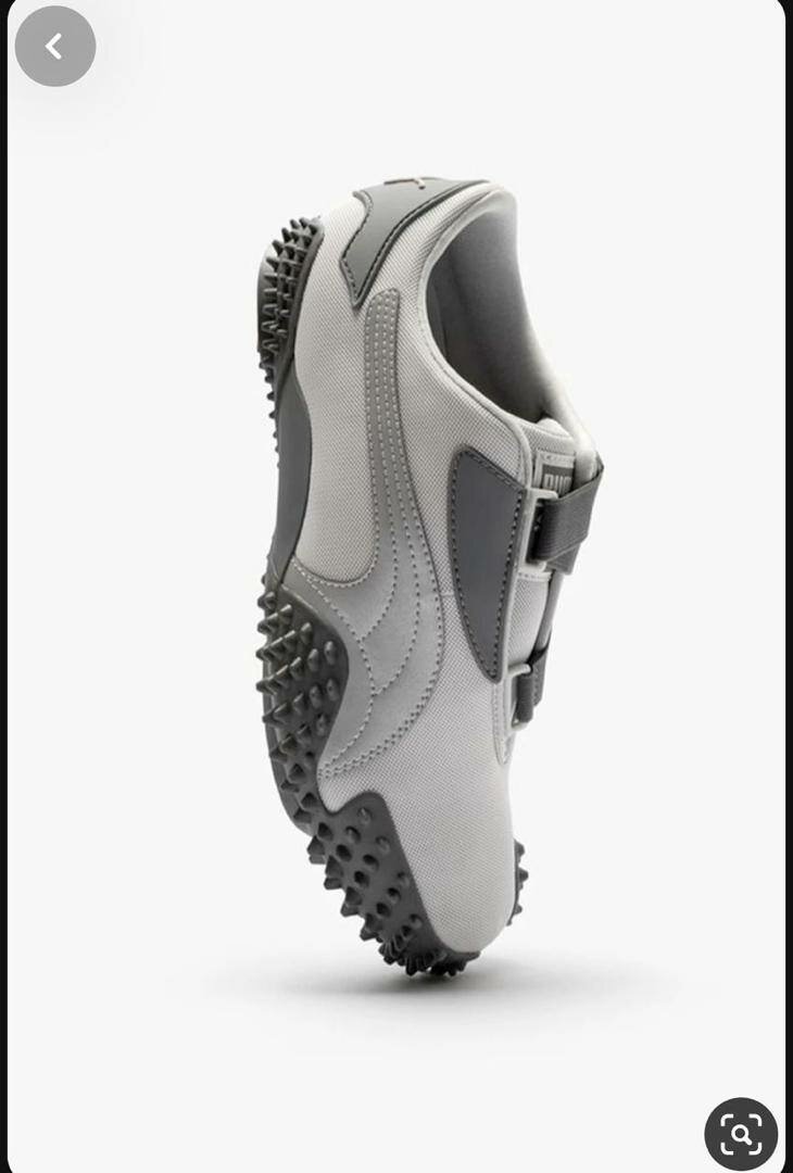 Puma monstro