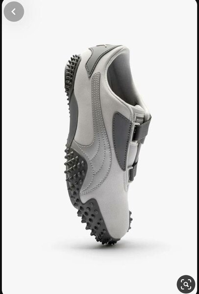 Puma monstro
