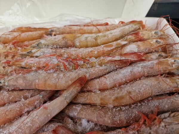 Crevettes