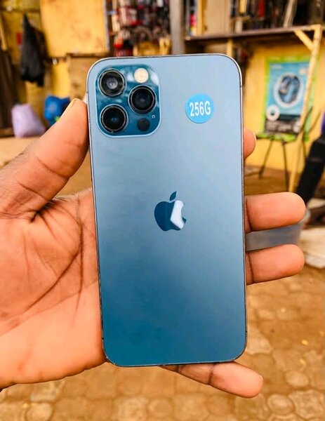 iPhone 256 Go Bleu