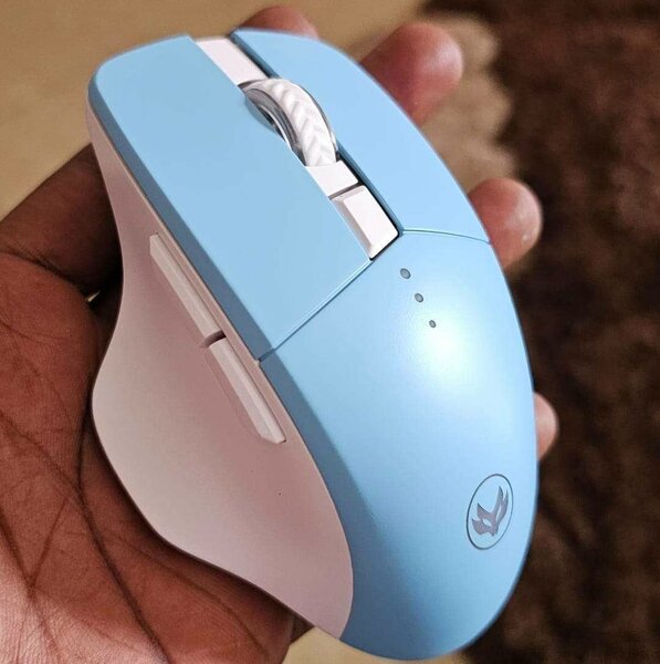 Une souris