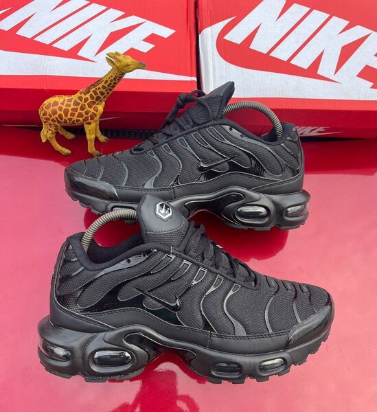 Nike Air Max Plus Noir