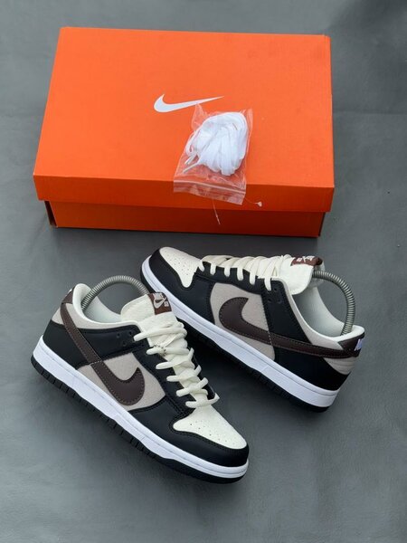 Nike sb