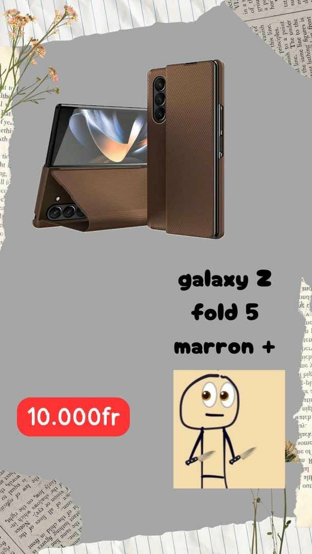 Étui de fold
