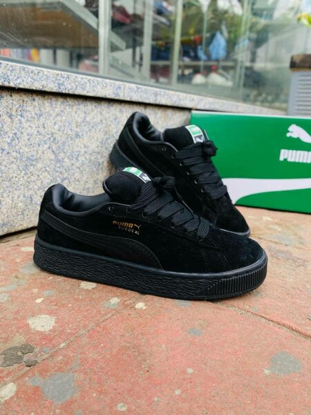 Puma