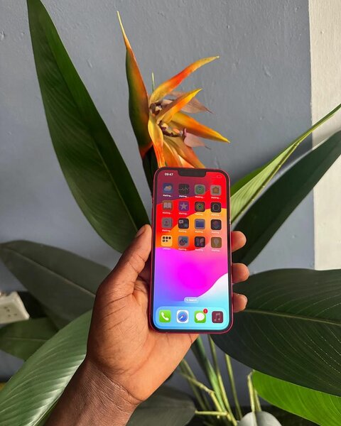 Iphone 13