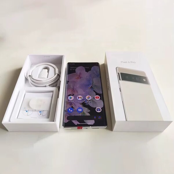 Google pixel 6 pro