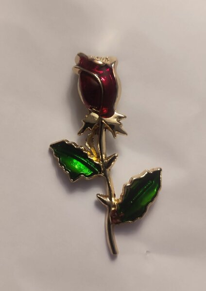Broches